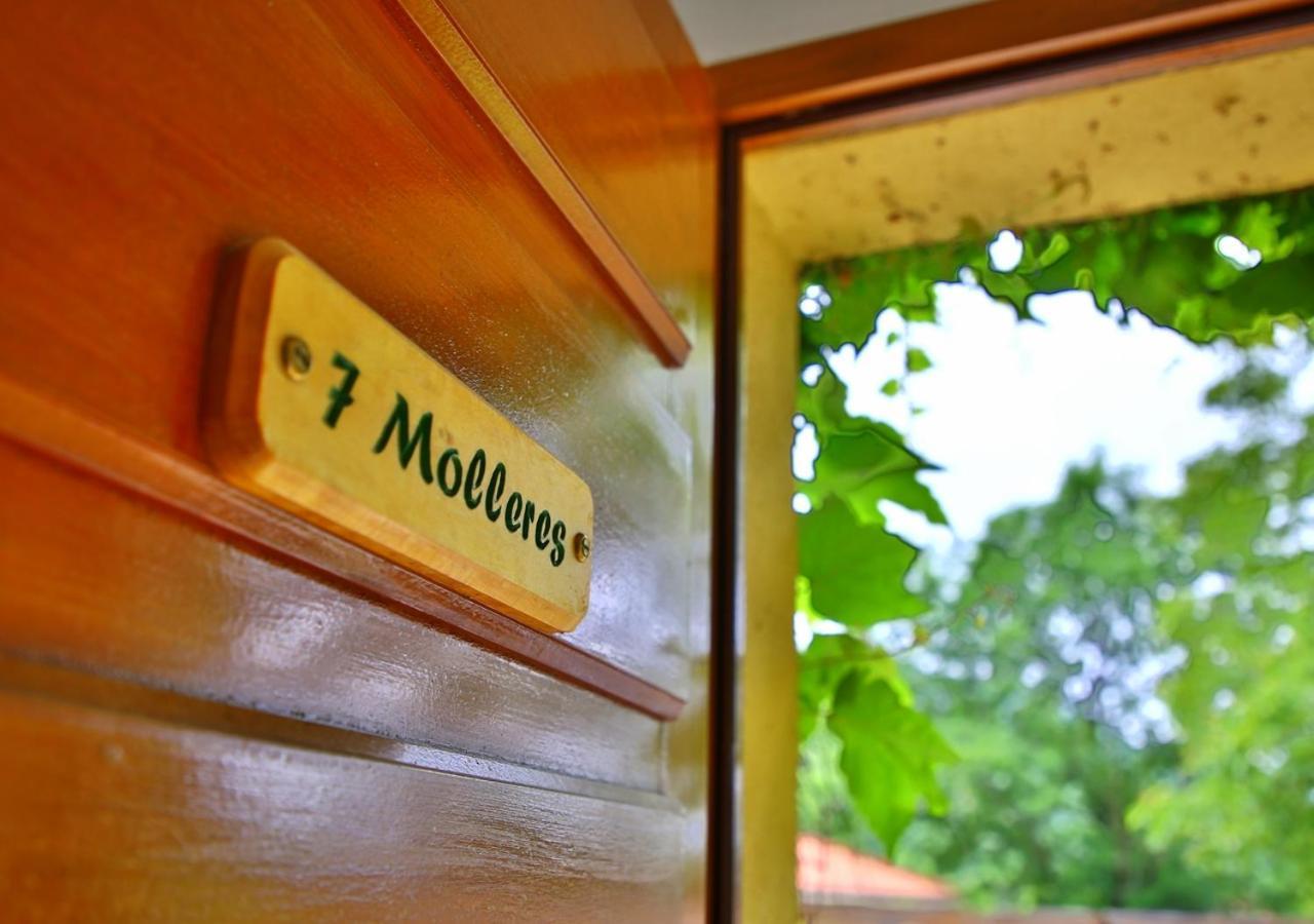 Beau Vallon - Gite Et Chambres D'Hotes Pyrenees-Mediterranee - Pays Catalan Sahorre Kültér fotó